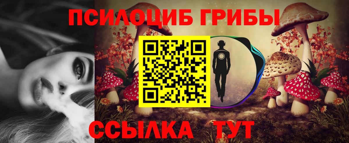 Галлюциногенные грибы прущие грибы  Вход с VPN  Клинцы 